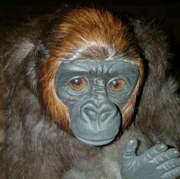 Vtg Real Fur Gorilla Statue - Picture 4 of 4